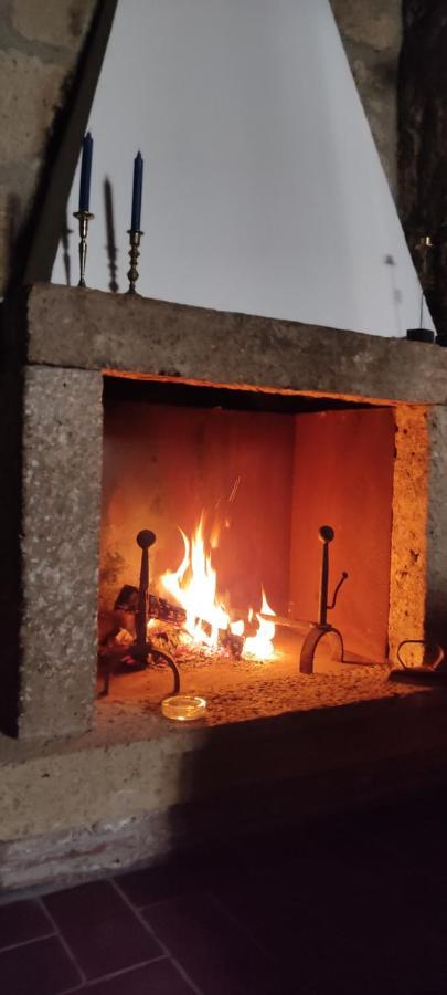 Ferienwohnung La Chascona Di Farnese Casa Di Tufo Nel Borgo Exterior foto