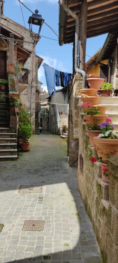 Ferienwohnung La Chascona Di Farnese Casa Di Tufo Nel Borgo Exterior foto