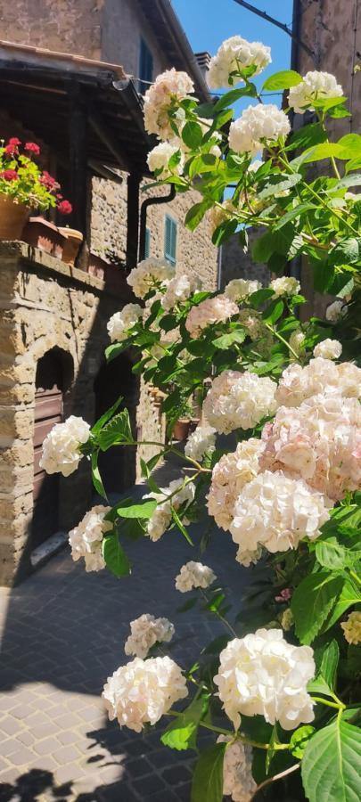 Ferienwohnung La Chascona Di Farnese Casa Di Tufo Nel Borgo Exterior foto